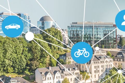 Mobility Management Training