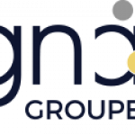 Signa Group