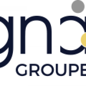 Signa Group