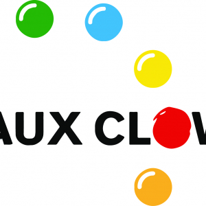 Ile aux Clowns a.s.b.l.