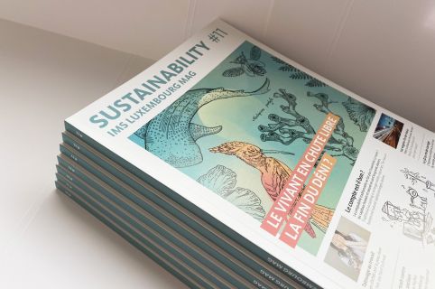 Le onzième numéro du Sustainability Mag est disponible !