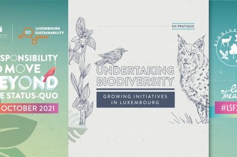 Undertaking Biodiversity: Growing initiatives in Luxembourg