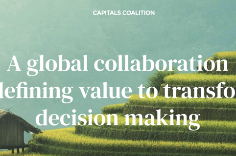 IMS Luxembourg becomes the national hub of the Capitals Coalition