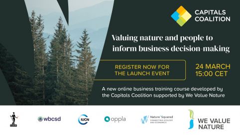 Valuing nature and people to inform business decision-making