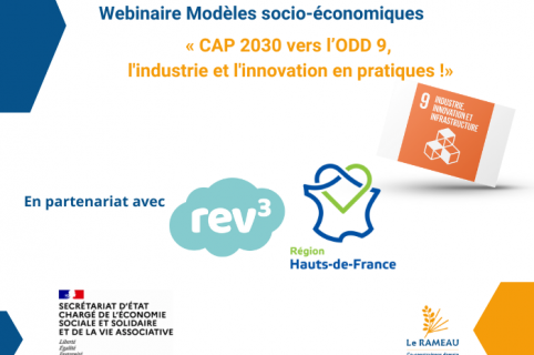 Webinaire « Vers de nouveaux équilibres économiques »