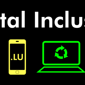 Digital Inclusion asbl