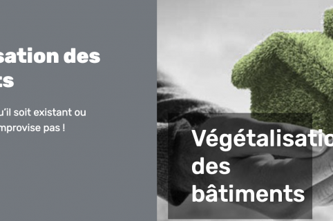 Formations : Végétalisation des bâtiments et matériaux de construction biosourcés