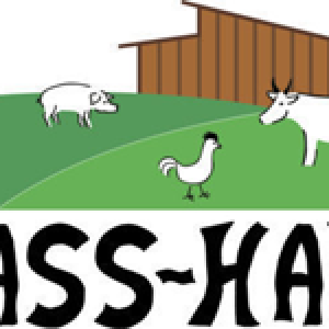 Kass-Haff