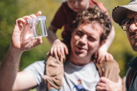 Ramborn Cider Co. et le LIST organisent la 3ème édition du City Nature Challenge Luxembourg : un événement consacré à la biodiversité