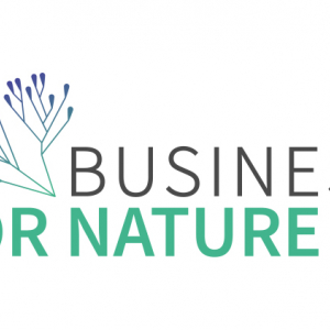 Business for Nature