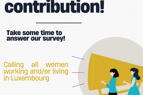 Survey MEGA & WIDE ANDCO - Women’s career paths and Information Technology