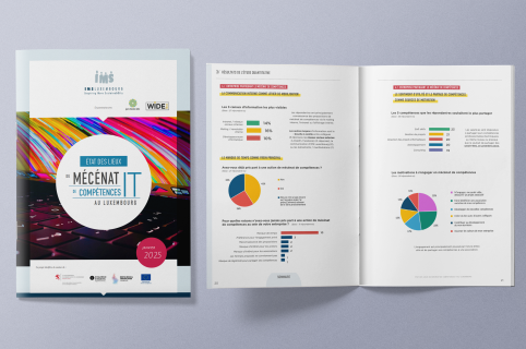 État des lieux sur le mécénat de compétences IT au Luxembourg 