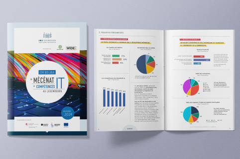 État des lieux sur le mécénat de compétences IT au Luxembourg 
