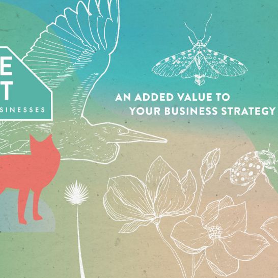 BIODIVERSITÉ