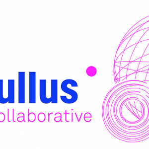 Innobullus