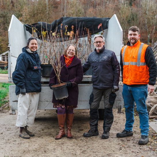 Trees in the City - Business in Action