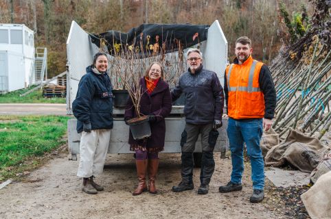 30 000 nouveaux arbres à Luxembourg : rejoignez l'initiative 