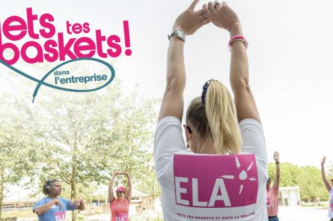 11 members of IMS participate in the operation 