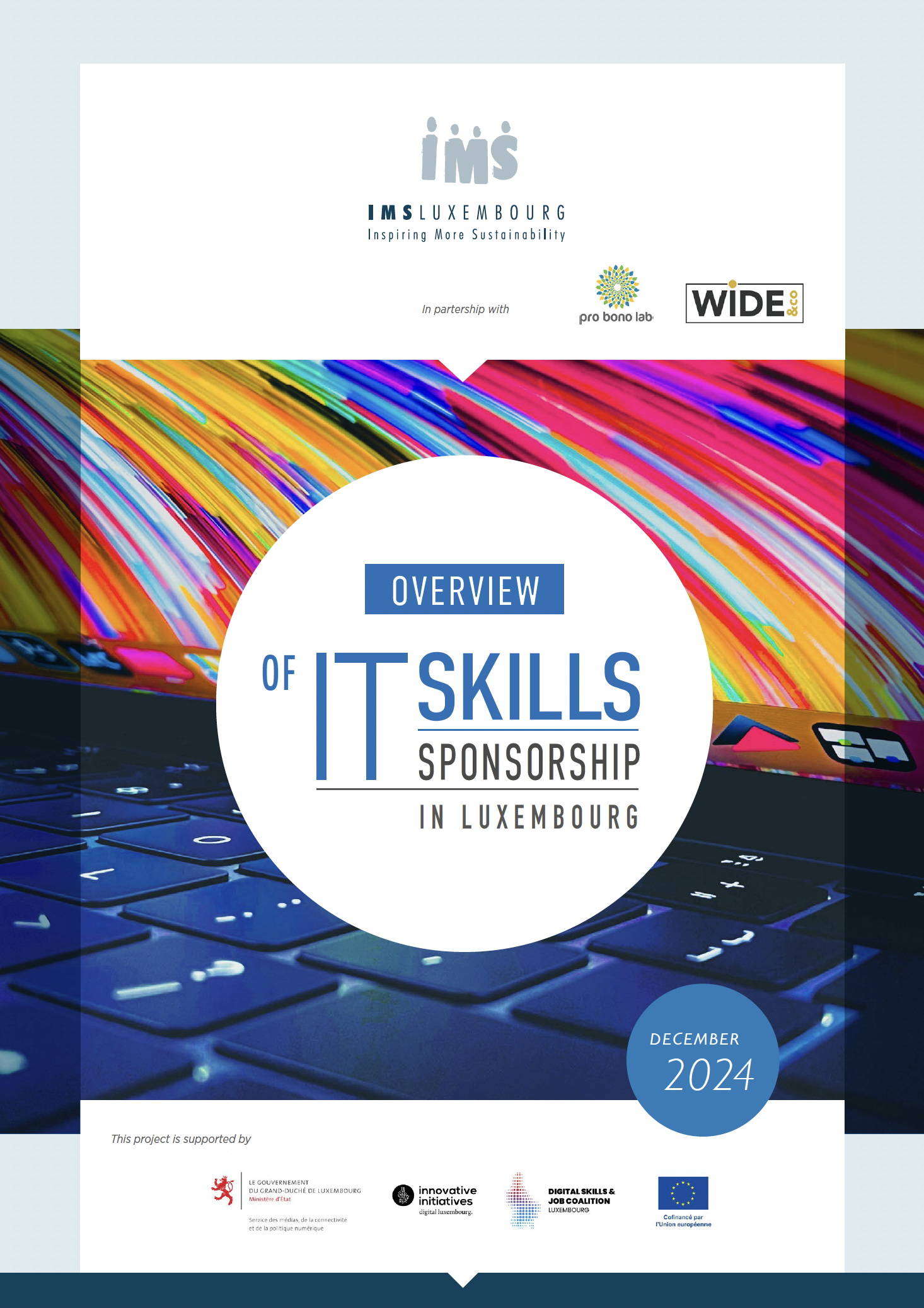 Overview of IT Skills-Based Volunteering in Luxembourg 