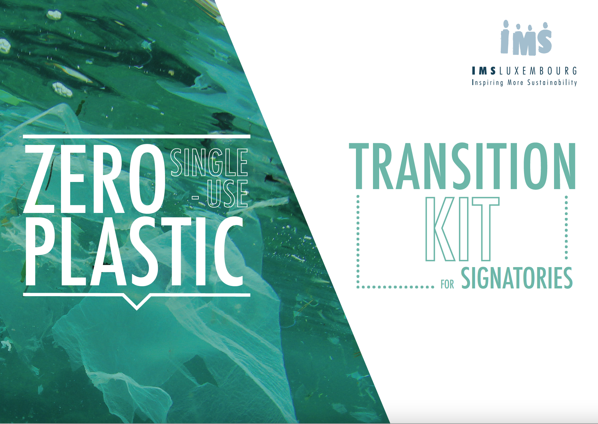 Transition kit for companies