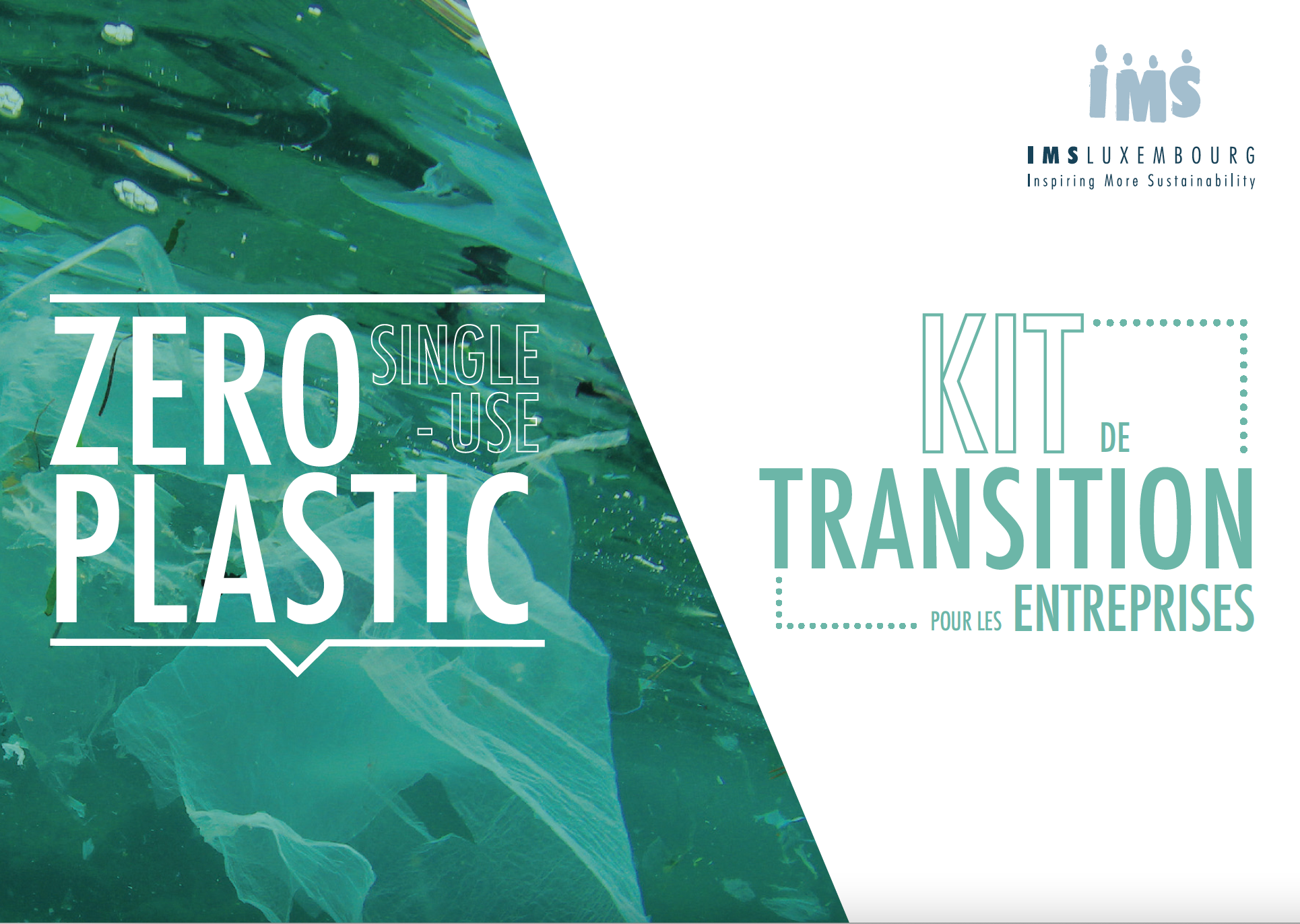 Kit de transition pour les entreprises